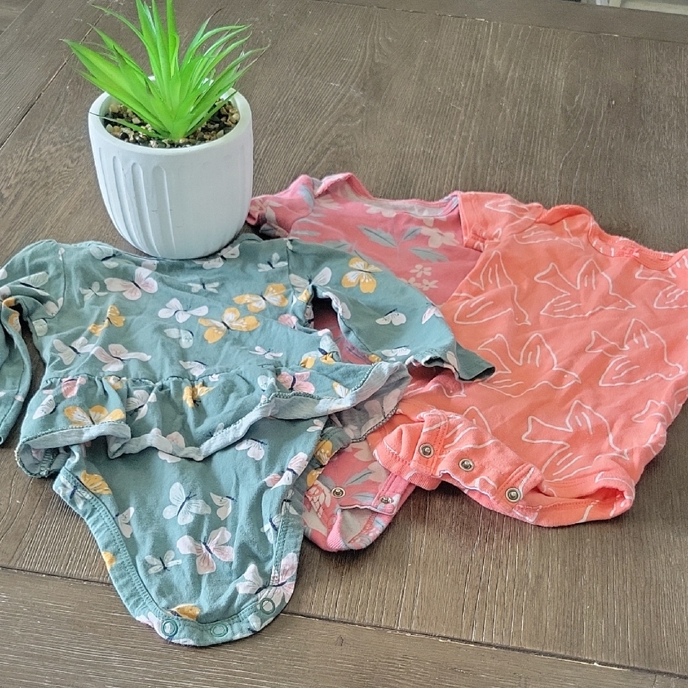 Carter's Butterfly and Floral Bodysuit Set - Green and Pink